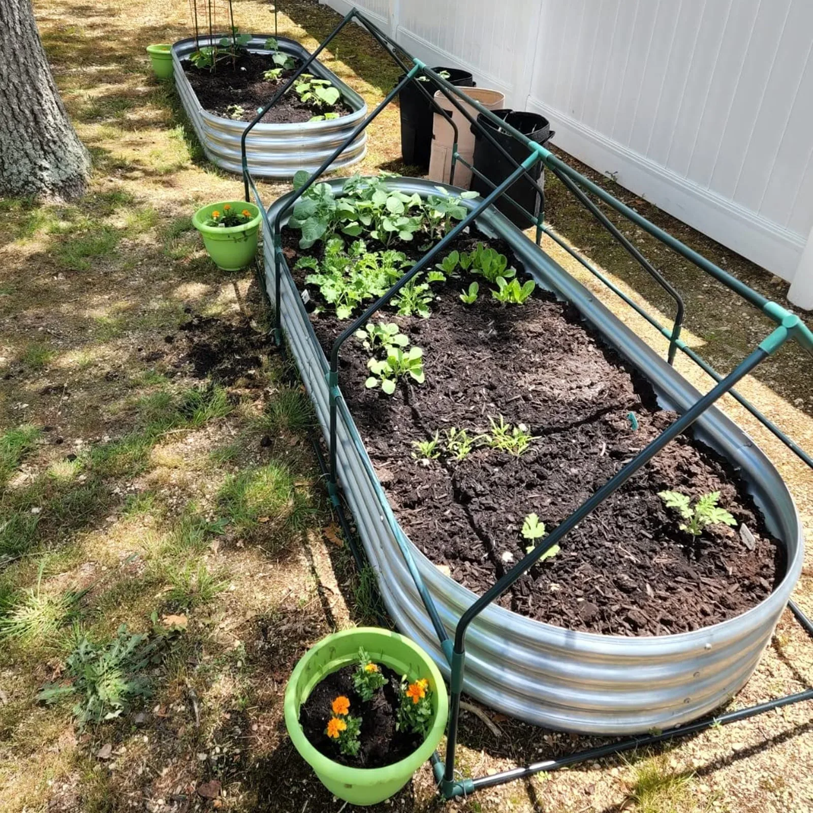 Galvanized Outdoor Raised Garden Box Bed Kit