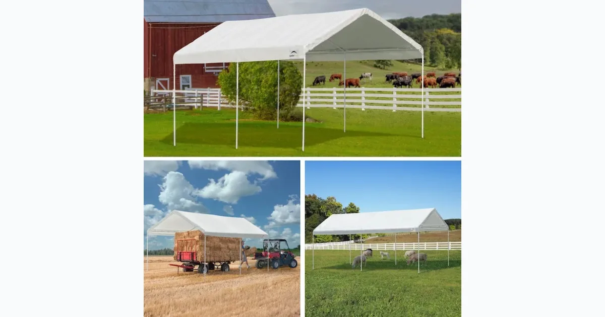 20-ft x 10-ft Rectangle White Standard canopy