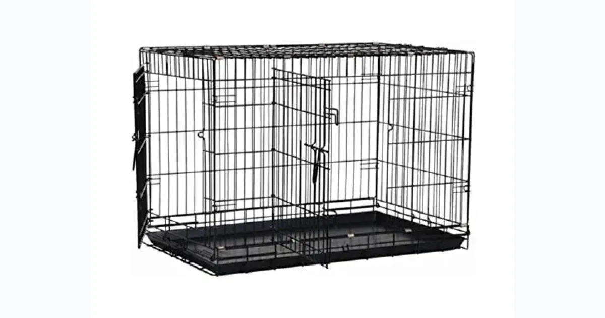 Bargain Bin: Under $25