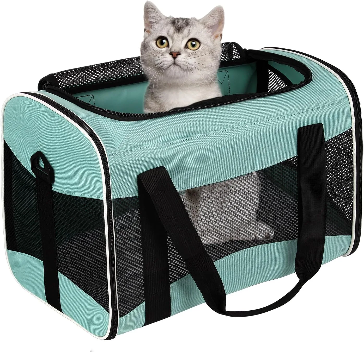 Pet Carrier