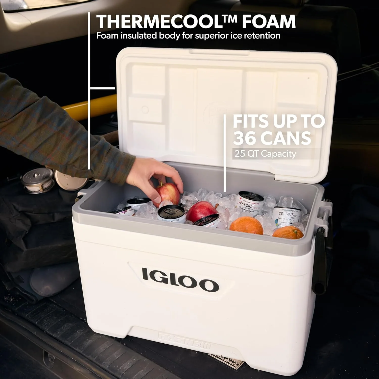 Igloo Marine Cooler