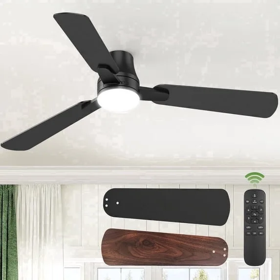 Ceiling Fan with Light