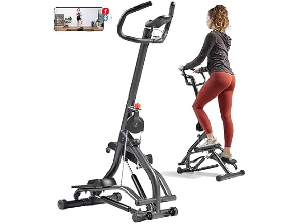 Stair Stepper with Handlebar