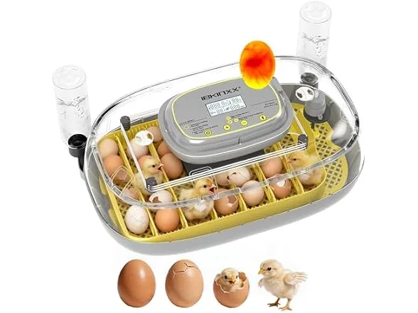 Incubator for Hatching Eggs