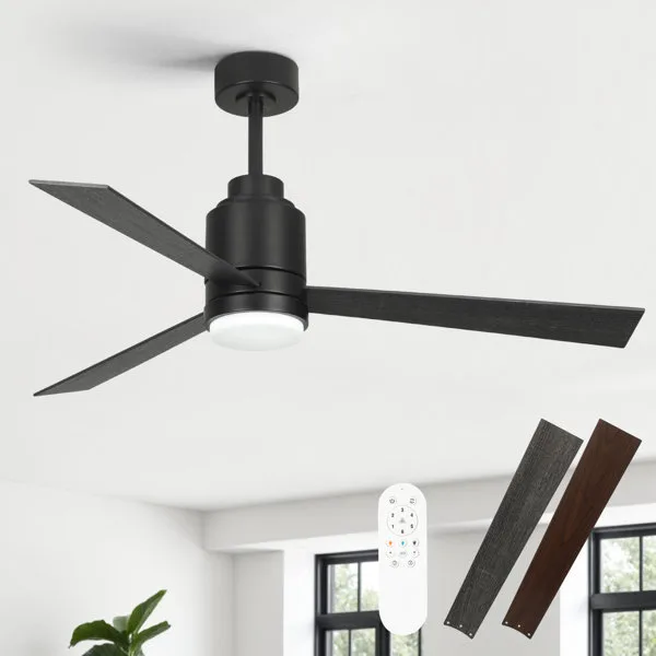 Ceiling Fans