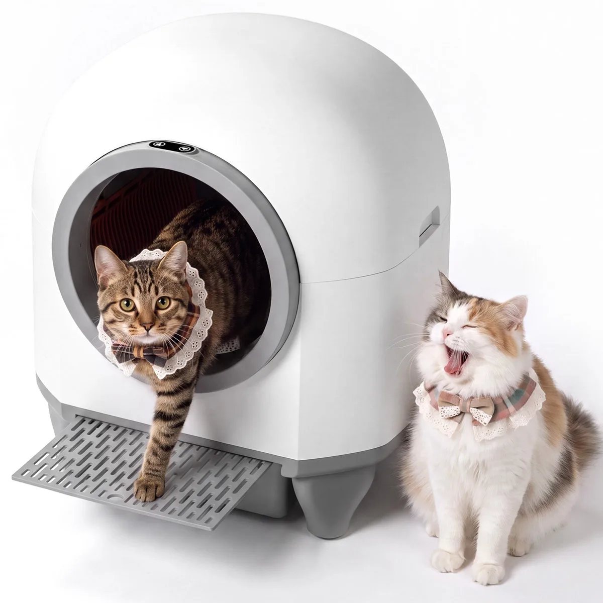 Automatic Litter Boxes