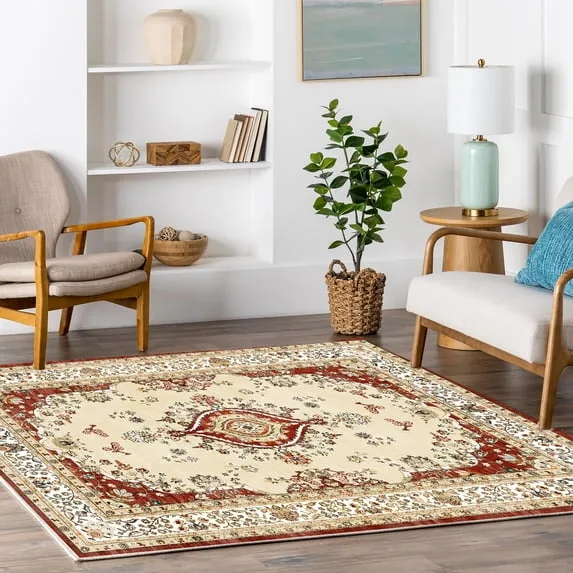 4×6 Area Rug