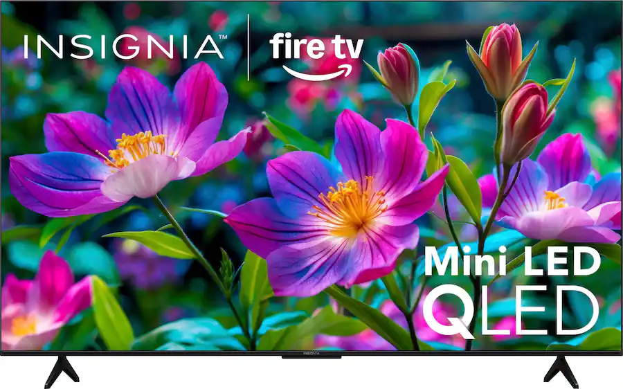 65″ Insignia TV