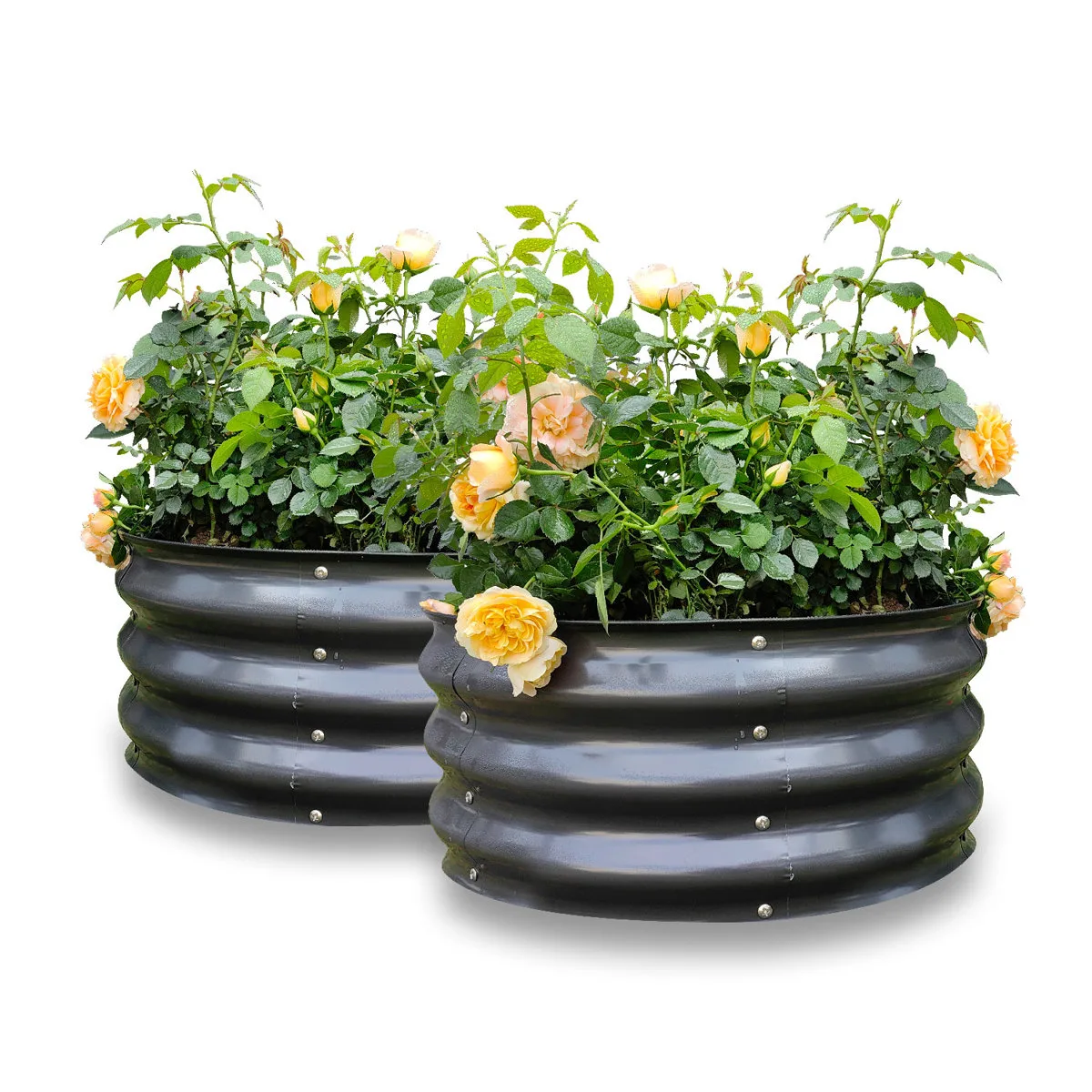 Pack of 4 Galvanized Round Raised Garden Bed Kit