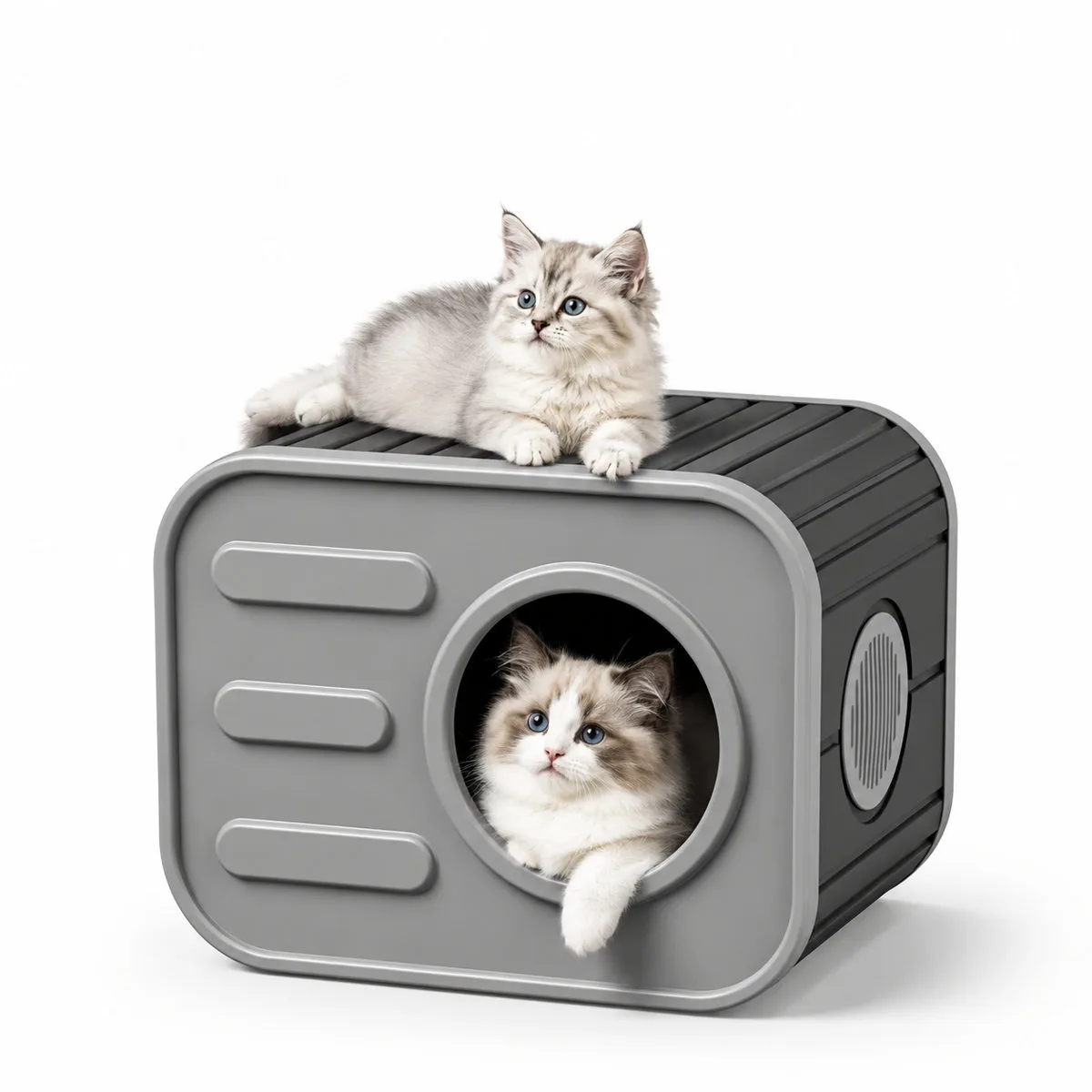 Indoor/Outdoor Cat house
