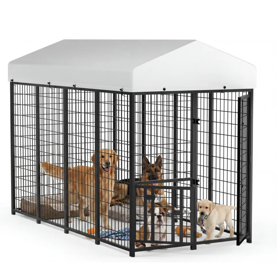 Outdoor Dog Kennel With Rotating Feeding Door