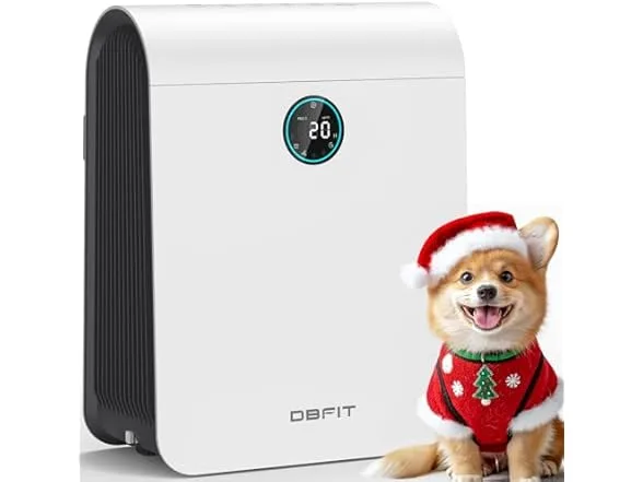 HEPA Air Purifier with Washable Filter