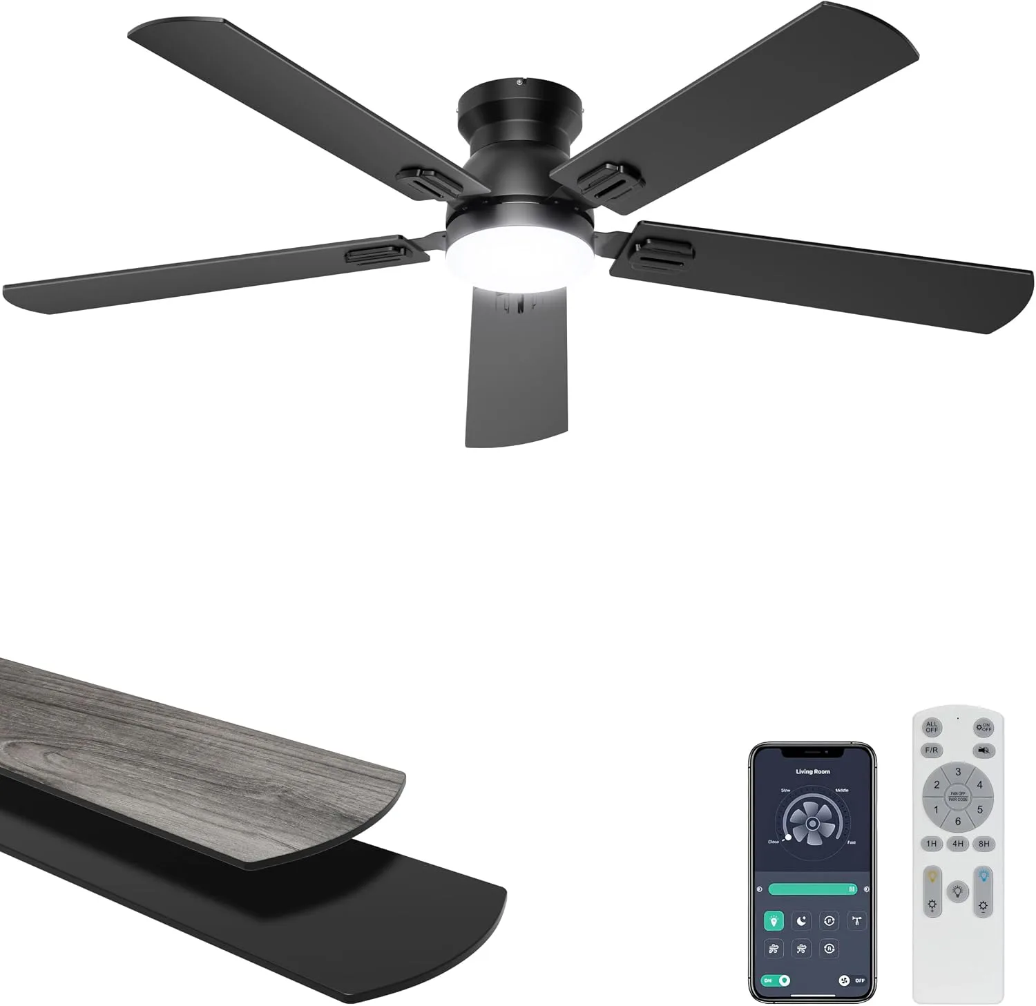 Ceiling Fan with Lights
